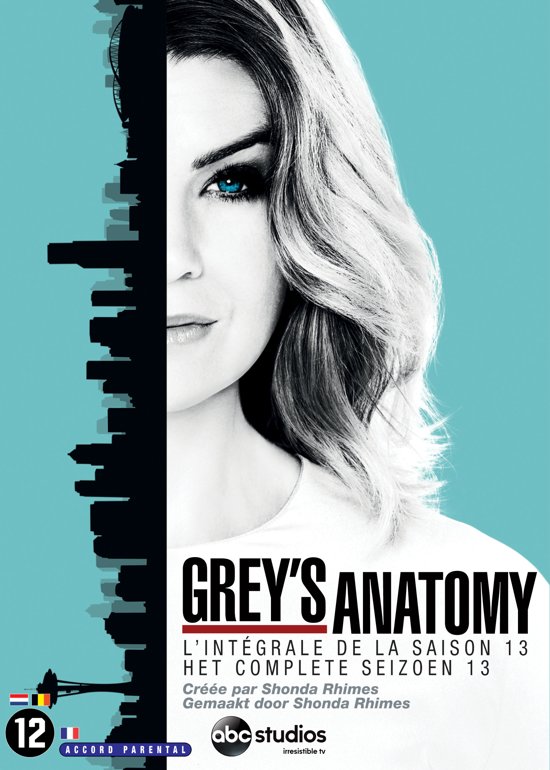 Grey's Anatomy Season 13 (2016)