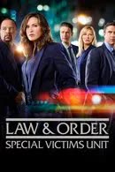 Law & Order Special Victims Unit Season 19 (2017)