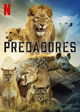 Predators Season 1 (2023) นักล่า