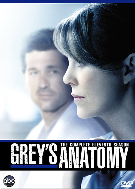 Grey's Anatomy Season 11 (2014)