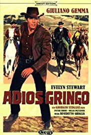 Adios Gringo (1965)