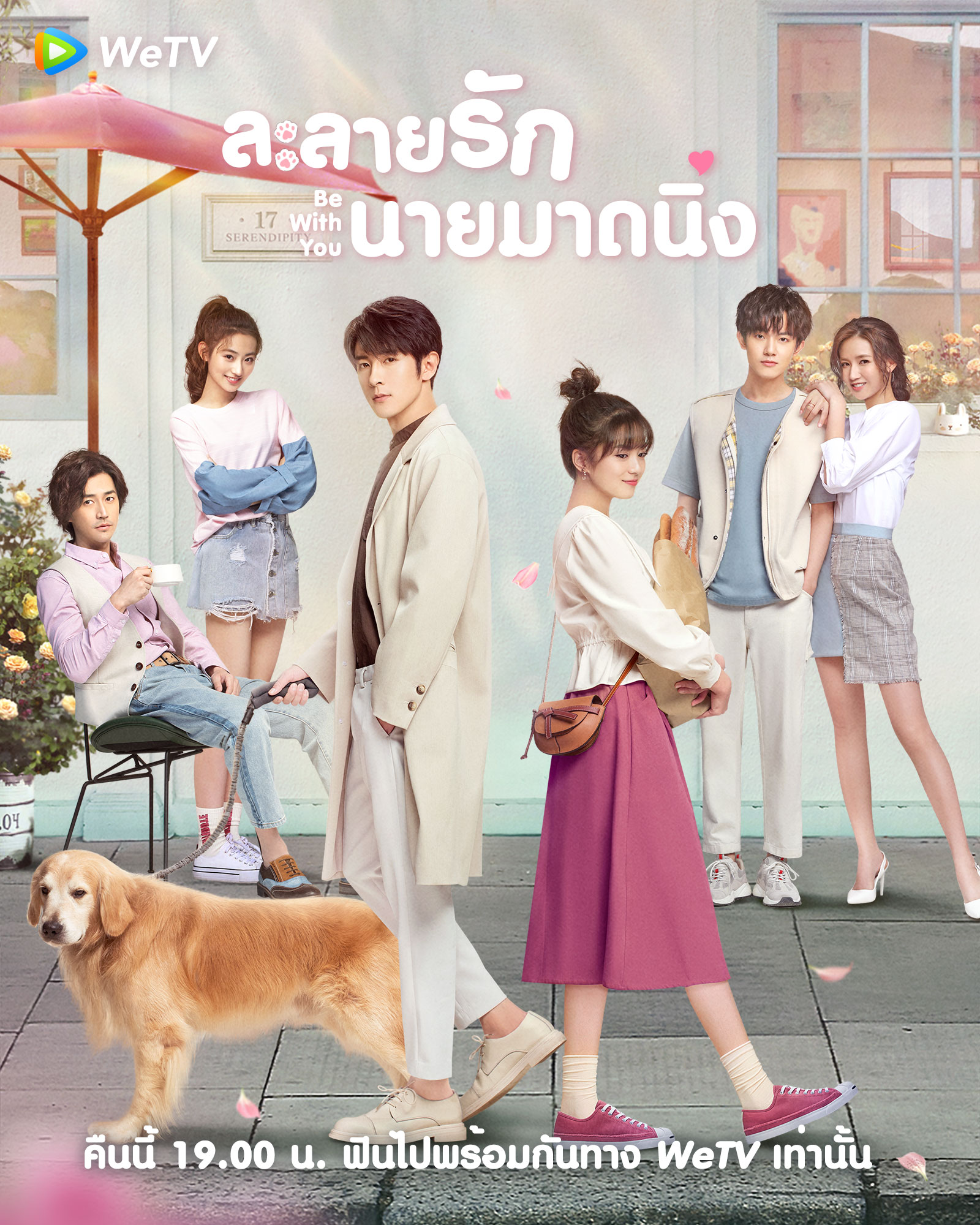 ละลายรักนายมาดนิ่ง บรรยายไทย 1-24(จบ)