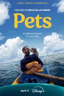 Pets (2025)