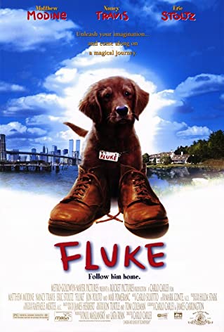 Fluke (1995) เกิดใหม่กลายเป็นหมา