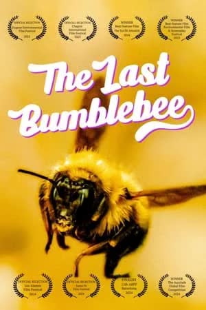 The Last Bumblebee (2024) [NoSub]