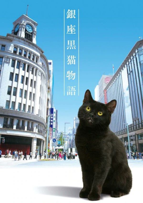GINZA CAT แมวเหมียวกินซ่า (2020) 1-5 พากย์ไทย