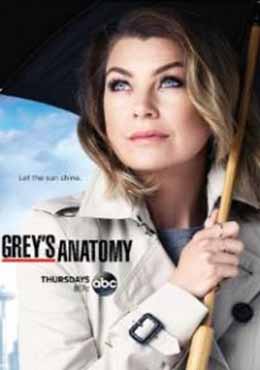 Grey's Anatomy Season 12 (2015)