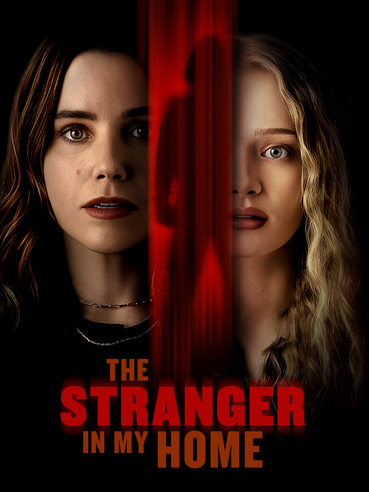 The Stranger in My Home (2025)