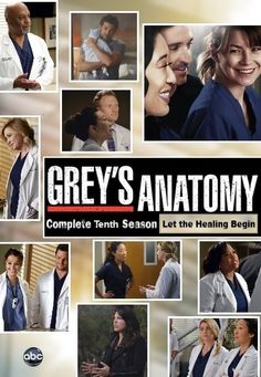 Grey's Anatomy Season 10 (2014)