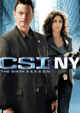 CSI New York Season 6 (2009)