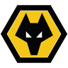 Manchester City vs Wolves